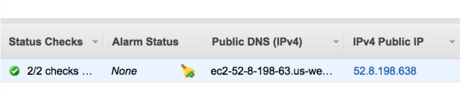 Instance Status Check and Public IP